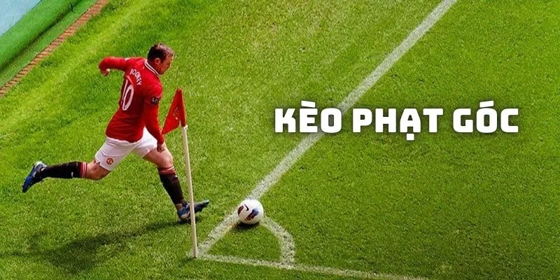 Tips Soi Kèo Phạt Góc Luôn Thắng Từ Chuyên Gia Theo 7M